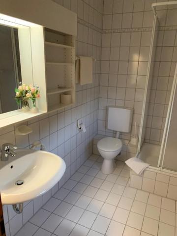 Zum Floesser Neckartenzlingen Buitenkant foto